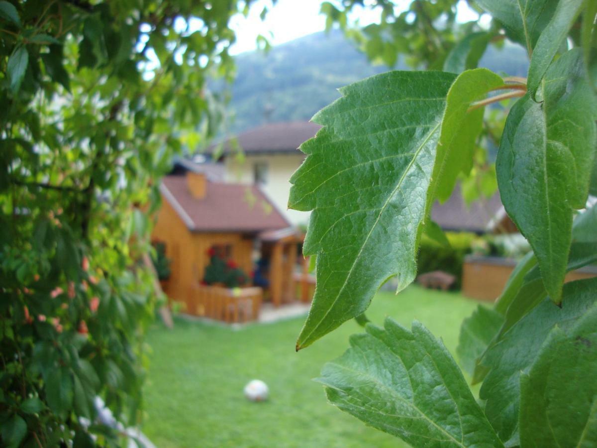 Haus Schnepfleitner Dorfgastein